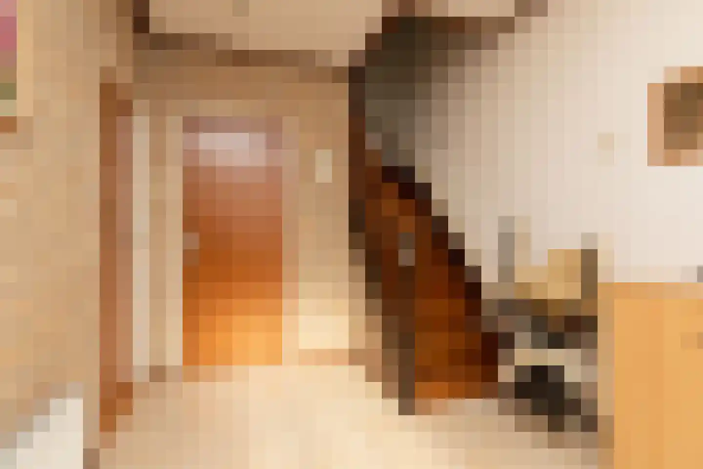 Ooievaarslaan 52 Sneek thumbnail 15