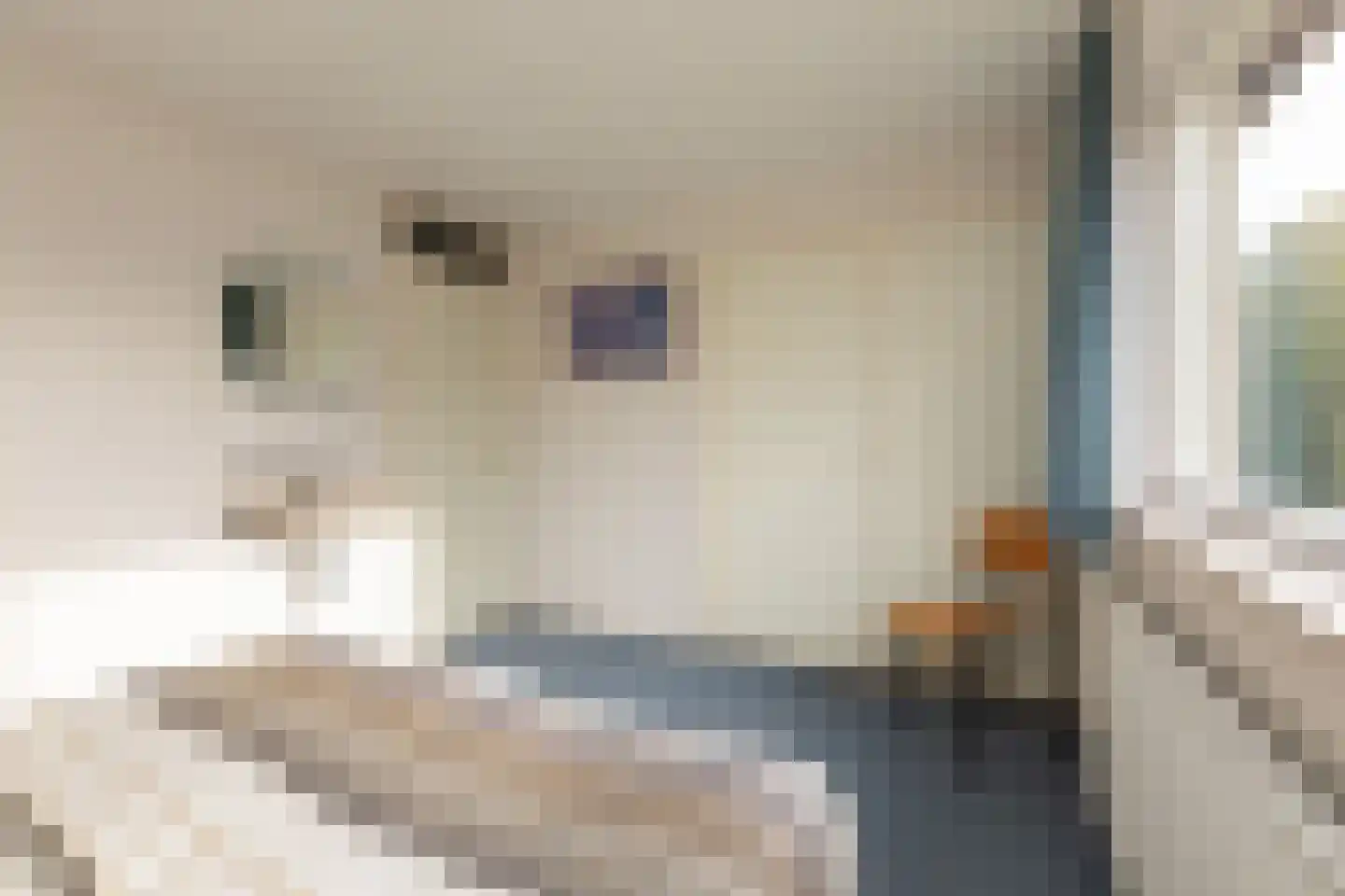 Ooievaarslaan 52 Sneek thumbnail 19