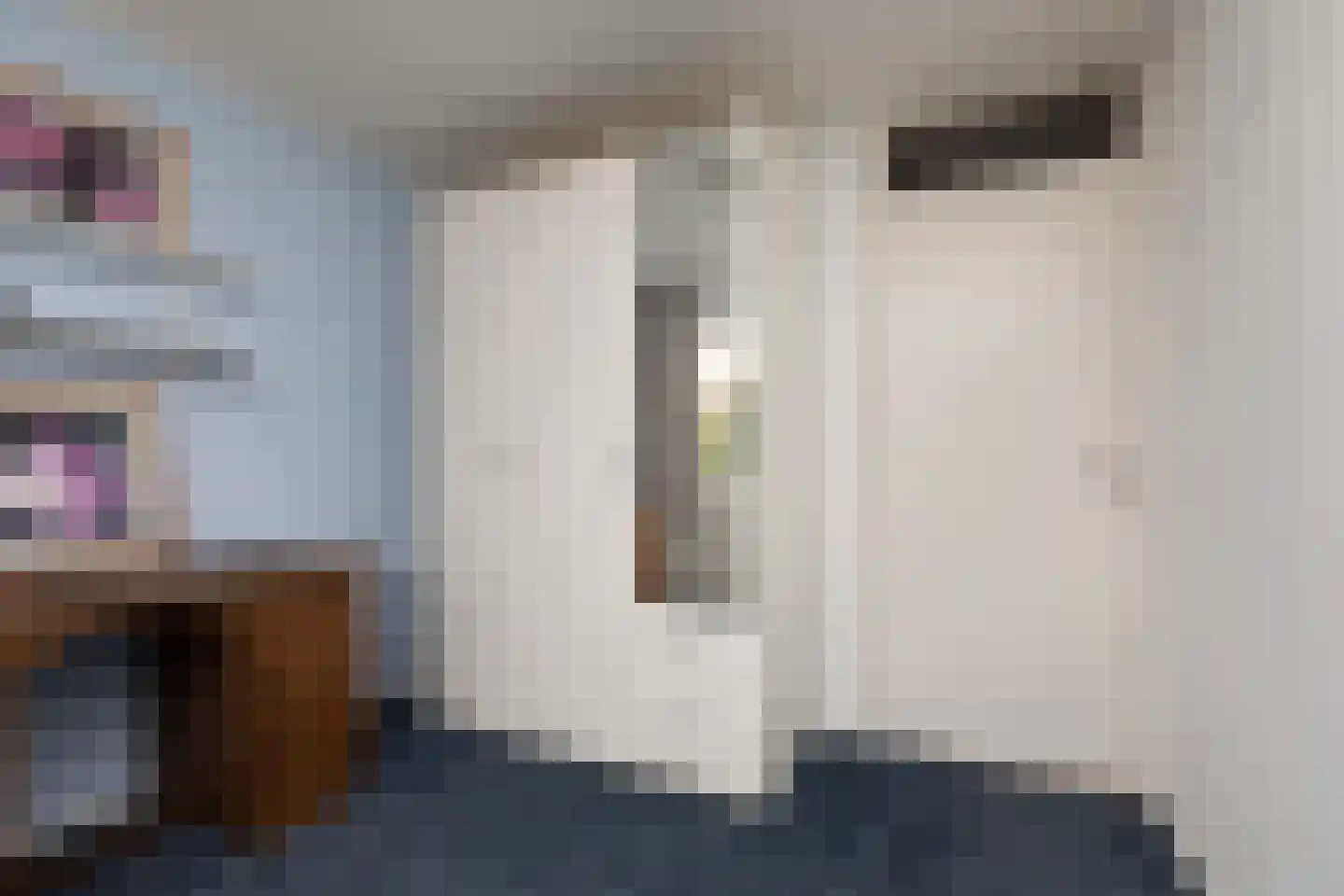 Ooievaarslaan 52 Sneek thumbnail 25
