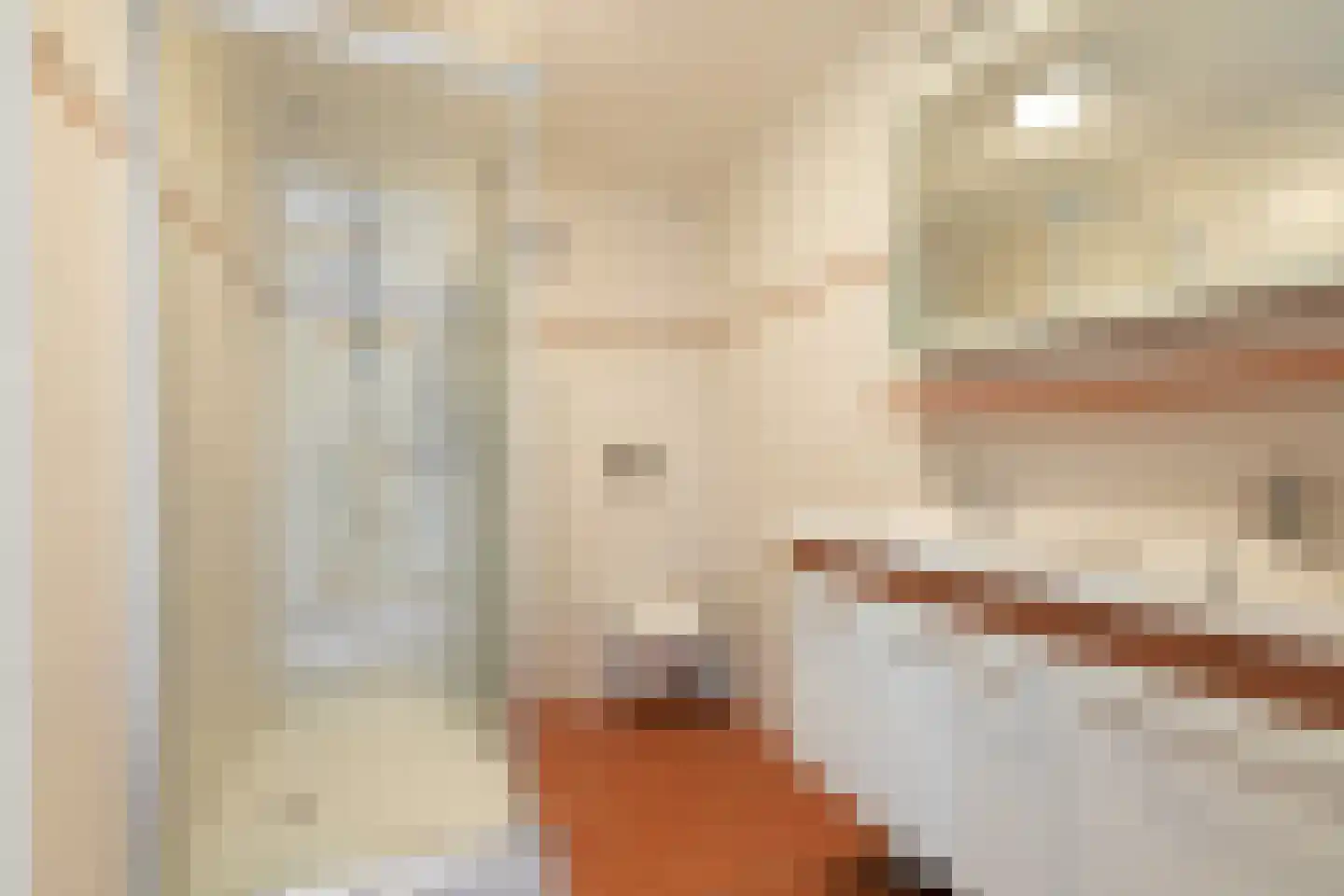 Ooievaarslaan 52 Sneek thumbnail 26
