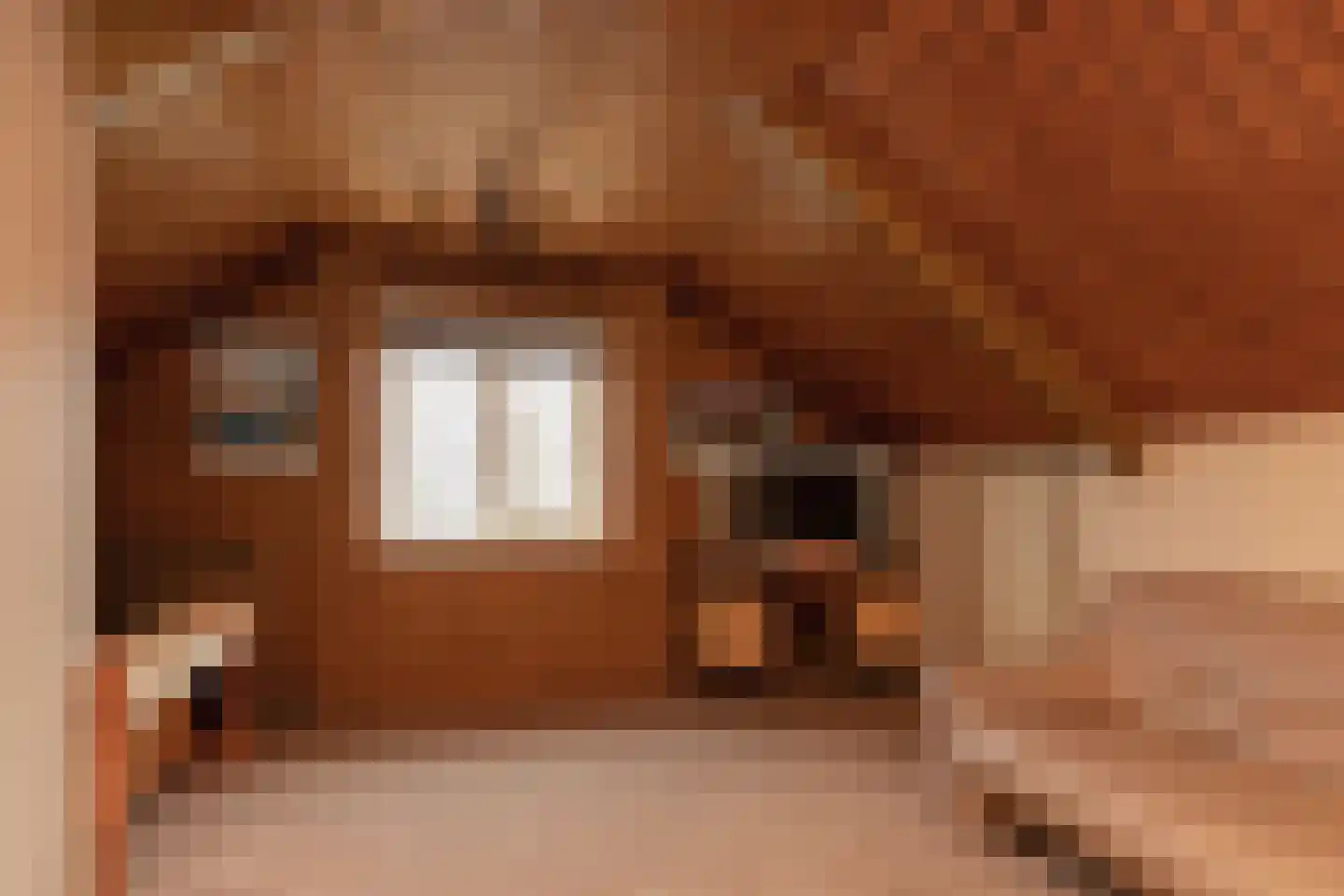 Ooievaarslaan 52 Sneek thumbnail 31