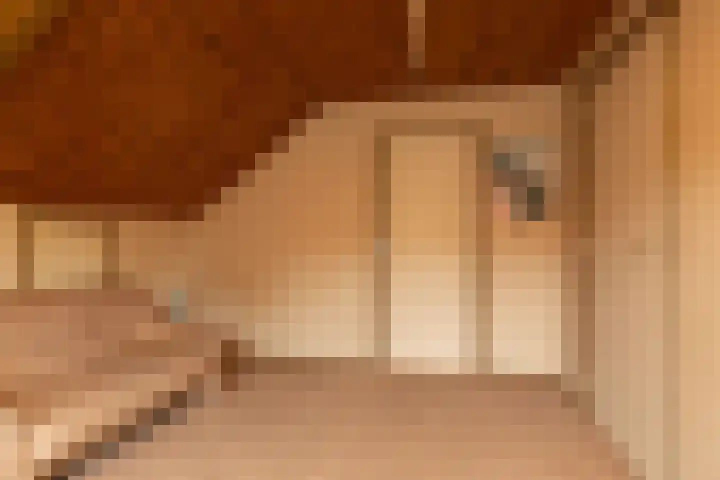 Ooievaarslaan 52 Sneek thumbnail 33