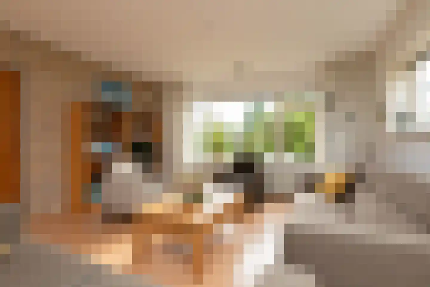 Ooievaarslaan 52 Sneek thumbnail 4