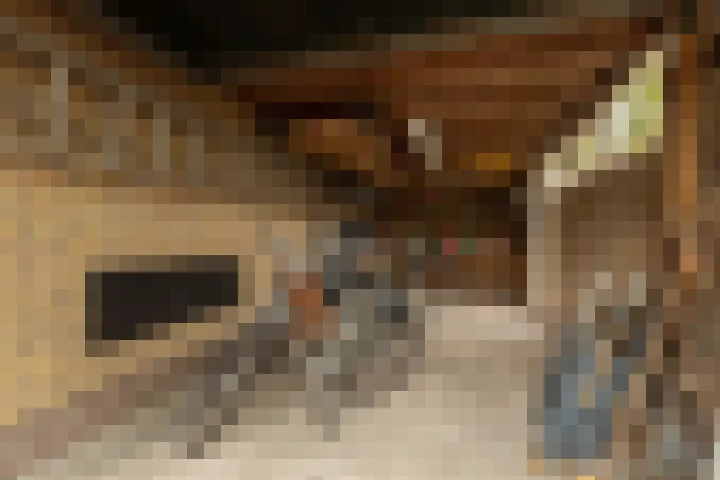 Ooievaarslaan 52 Sneek thumbnail 41