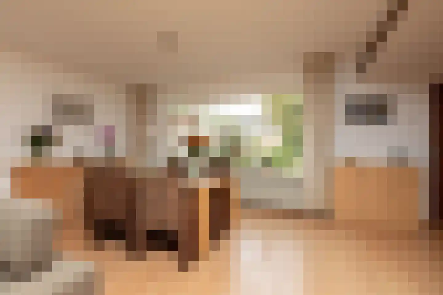 Ooievaarslaan 52 Sneek thumbnail 7