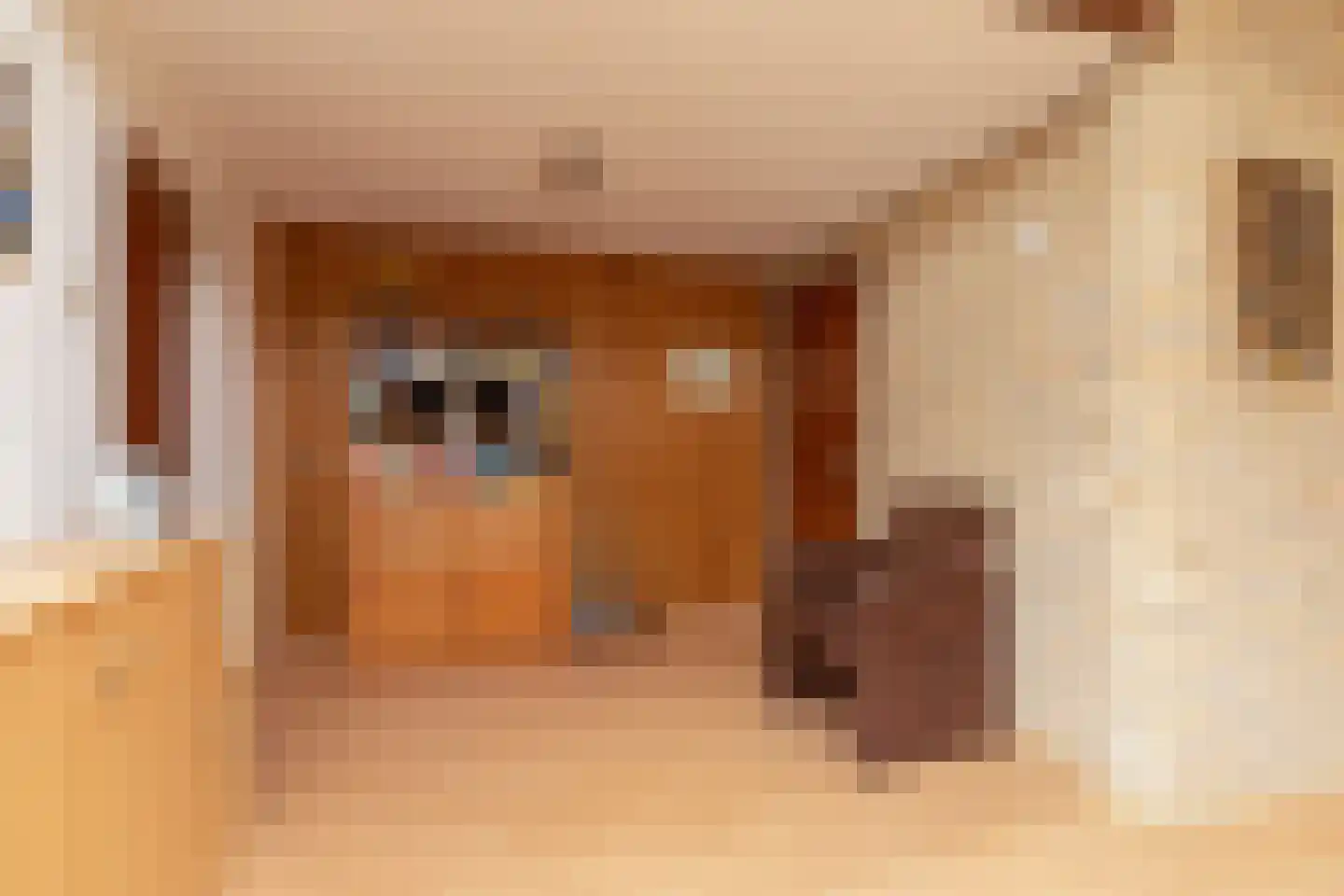Ooievaarslaan 52 Sneek thumbnail 8