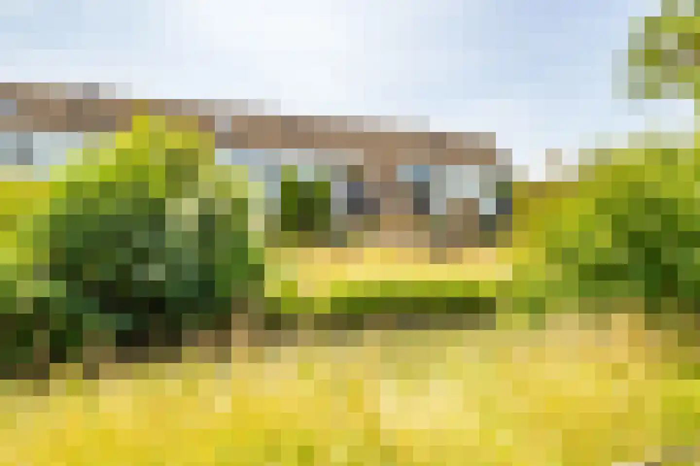 Ooievaarspad 24 IJsselstein thumbnail 45