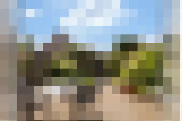 Ooievaarspad 3 IJsselstein thumbnail 19