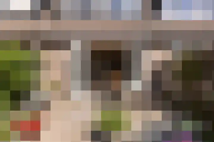 Ooievaarspad 3 IJsselstein thumbnail 20