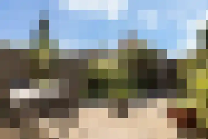 Ooievaarspad 3 IJsselstein thumbnail 22