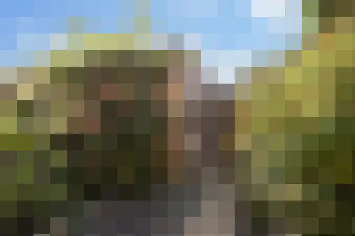 Ooievaarspad 3 IJsselstein thumbnail 23