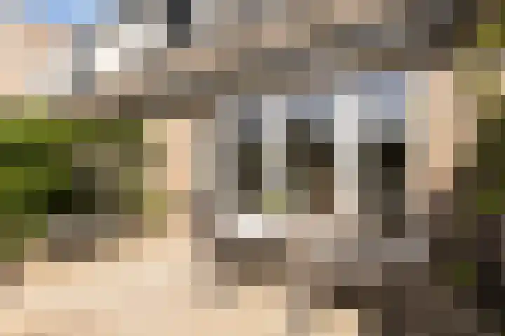 Ooievaarspad 3 IJsselstein thumbnail 24