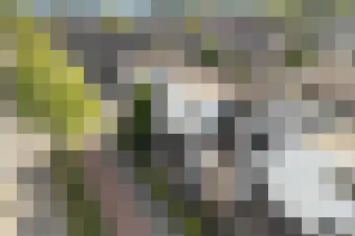 Ooievaarspad 3 IJsselstein thumbnail 49