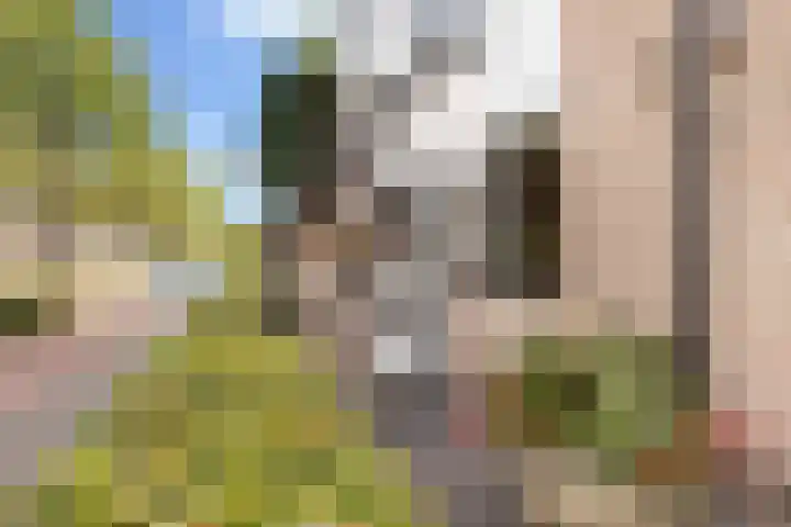 Ooievaarspad 3 IJsselstein thumbnail 7