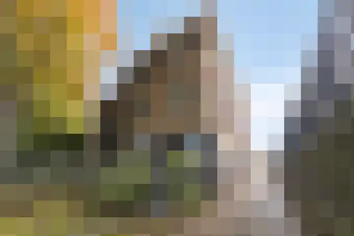 Ooievaarstraat 14 Den Helder thumbnail 4