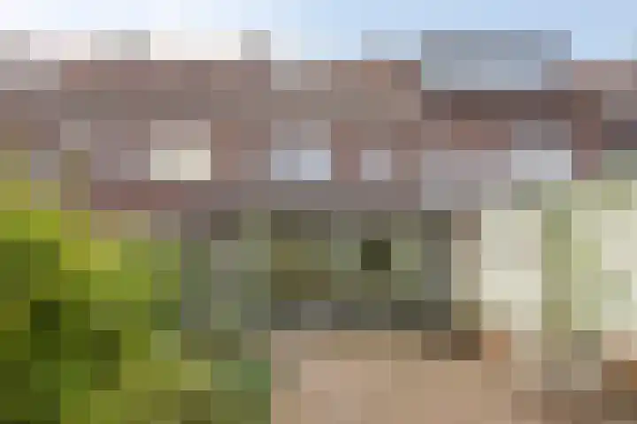 Ooievaarstraat 16 Breda thumbnail 29