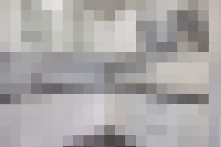 Ooievaarstraat 2 Den Haag thumbnail 9