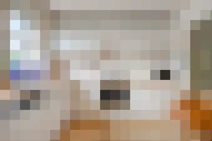 Ooievaarstraat 23 Velden thumbnail 13