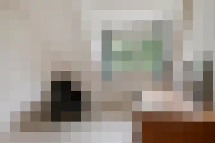 Ooievaarstraat 23 Velden thumbnail 28