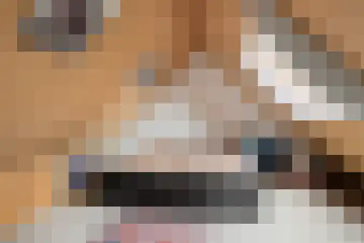 Ooievaarstraat 23 Velden thumbnail 35