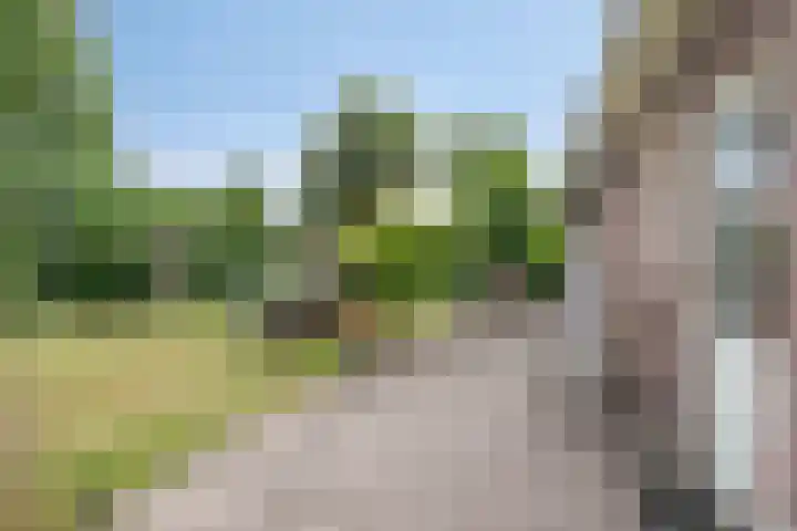Ooievaarstraat 23 Velden thumbnail 38