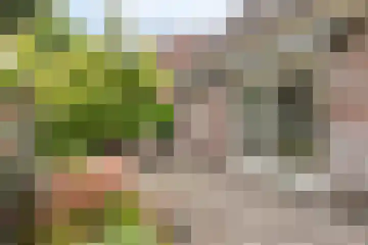 Ooievaarstraat 23 Velden thumbnail 39