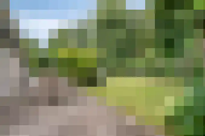 Ooievaarstraat 23 Velden thumbnail 40