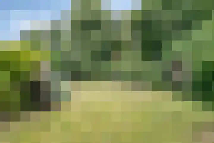 Ooievaarstraat 23 Velden thumbnail 41