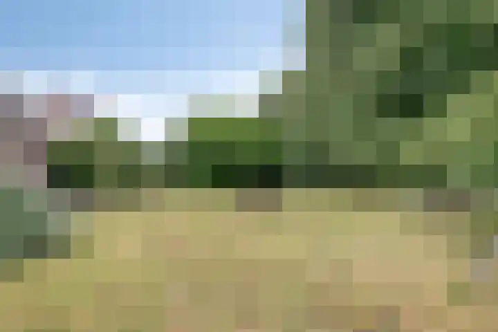 Ooievaarstraat 23 Velden thumbnail 43