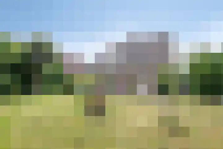 Ooievaarstraat 23 Velden thumbnail 45