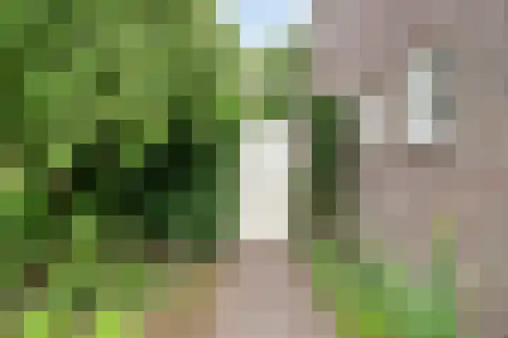 Ooievaarstraat 23 Velden thumbnail 46