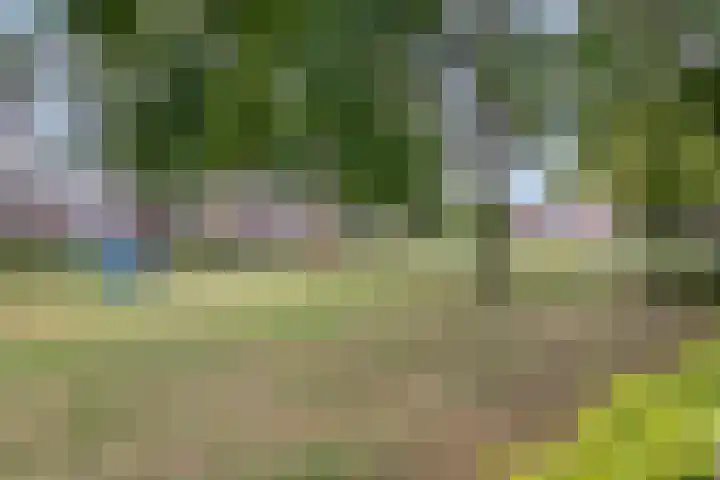 Ooievaarstraat 23 Velden thumbnail 47