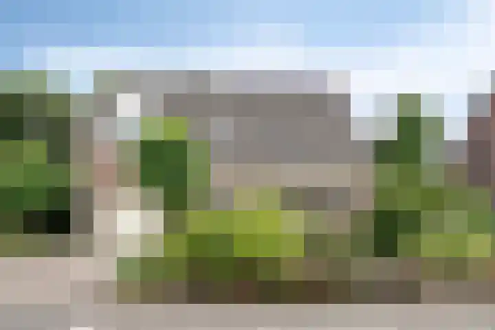 Ooievaarstraat 23 Velden thumbnail 49