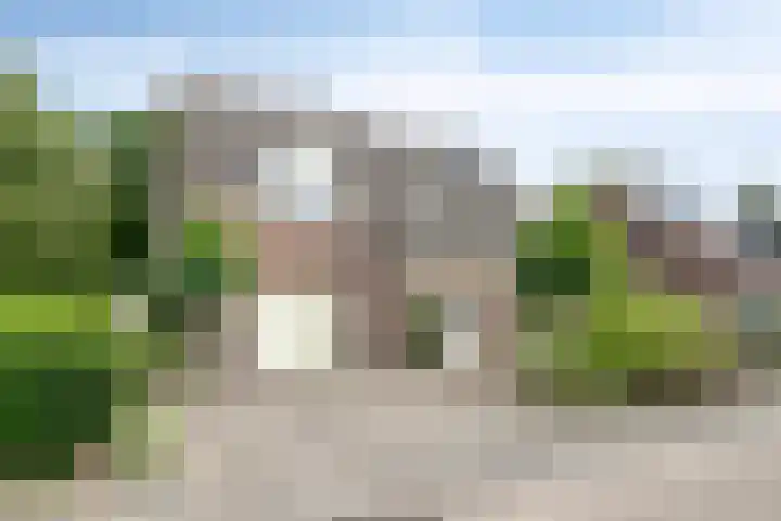 Ooievaarstraat 23 Velden thumbnail 54
