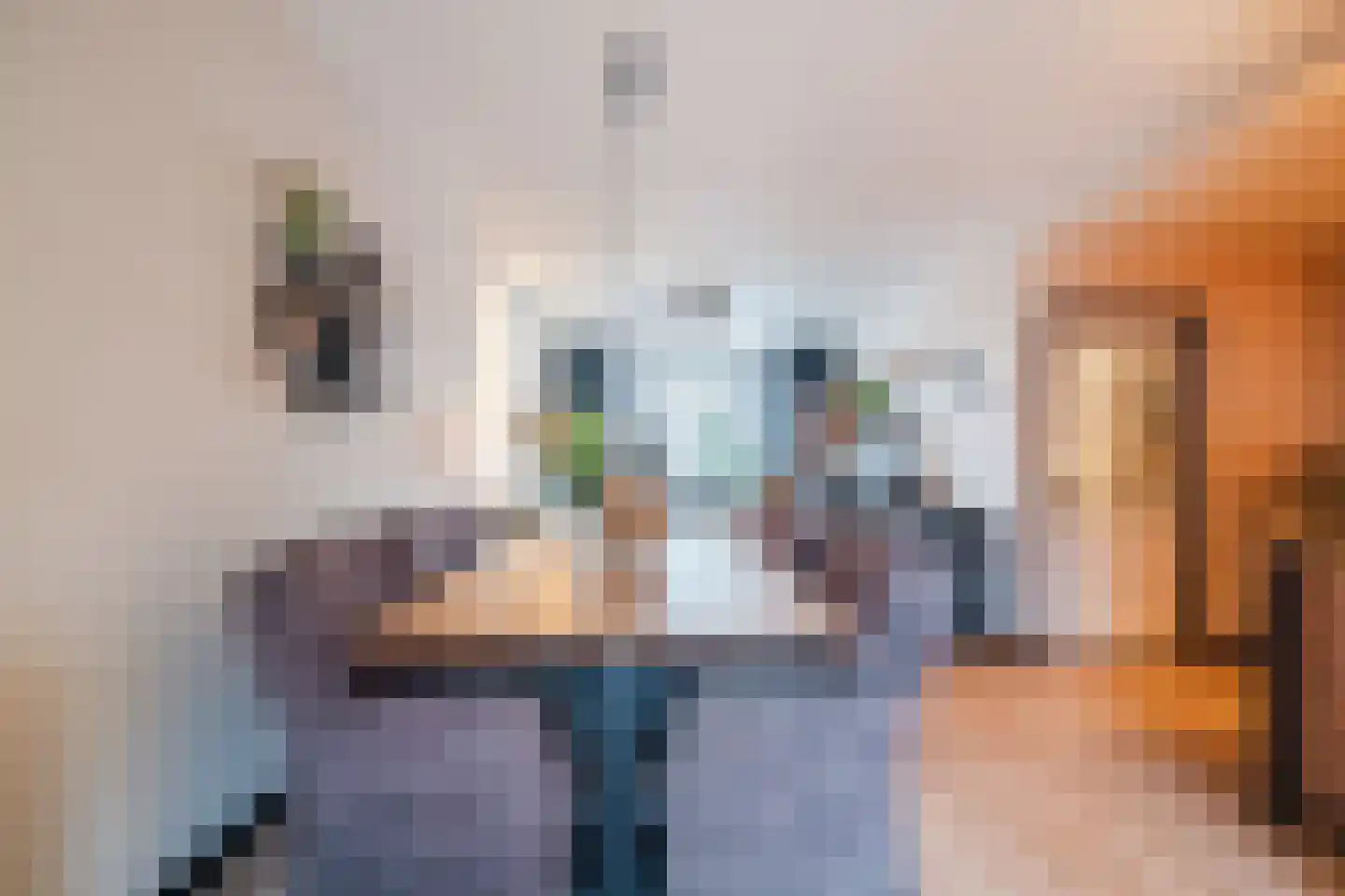 Ooievaarstraat 25 Alkmaar thumbnail 10