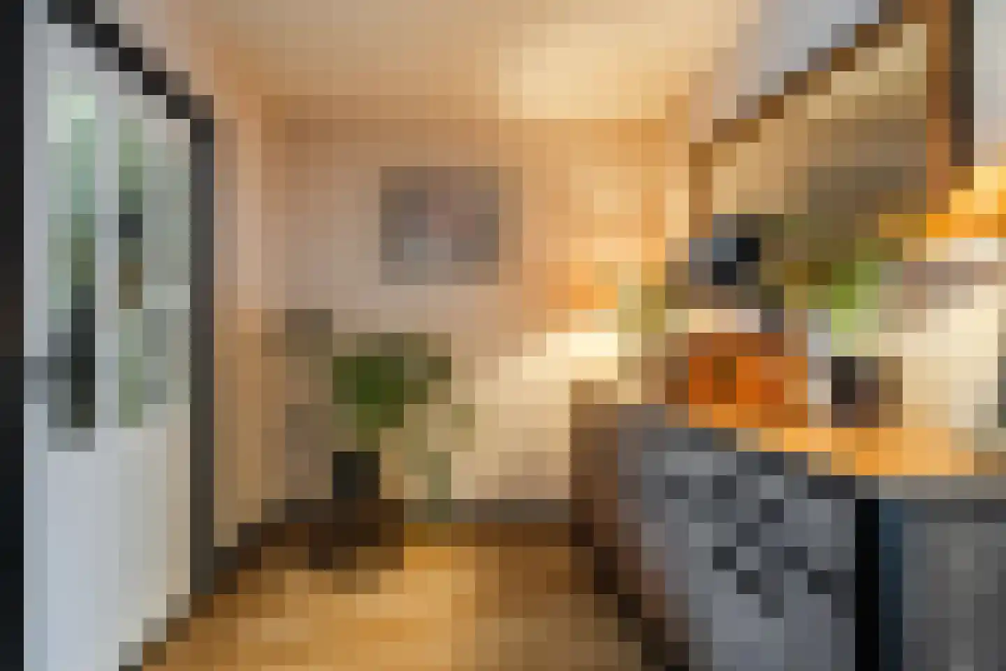 Ooievaarstraat 25 Alkmaar thumbnail 12