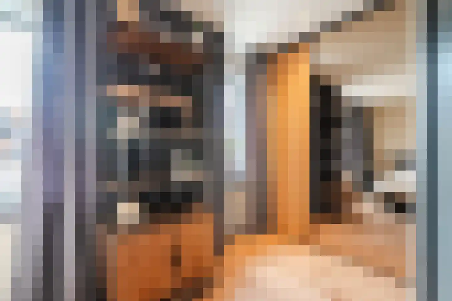 Ooievaarstraat 25 Alkmaar thumbnail 17