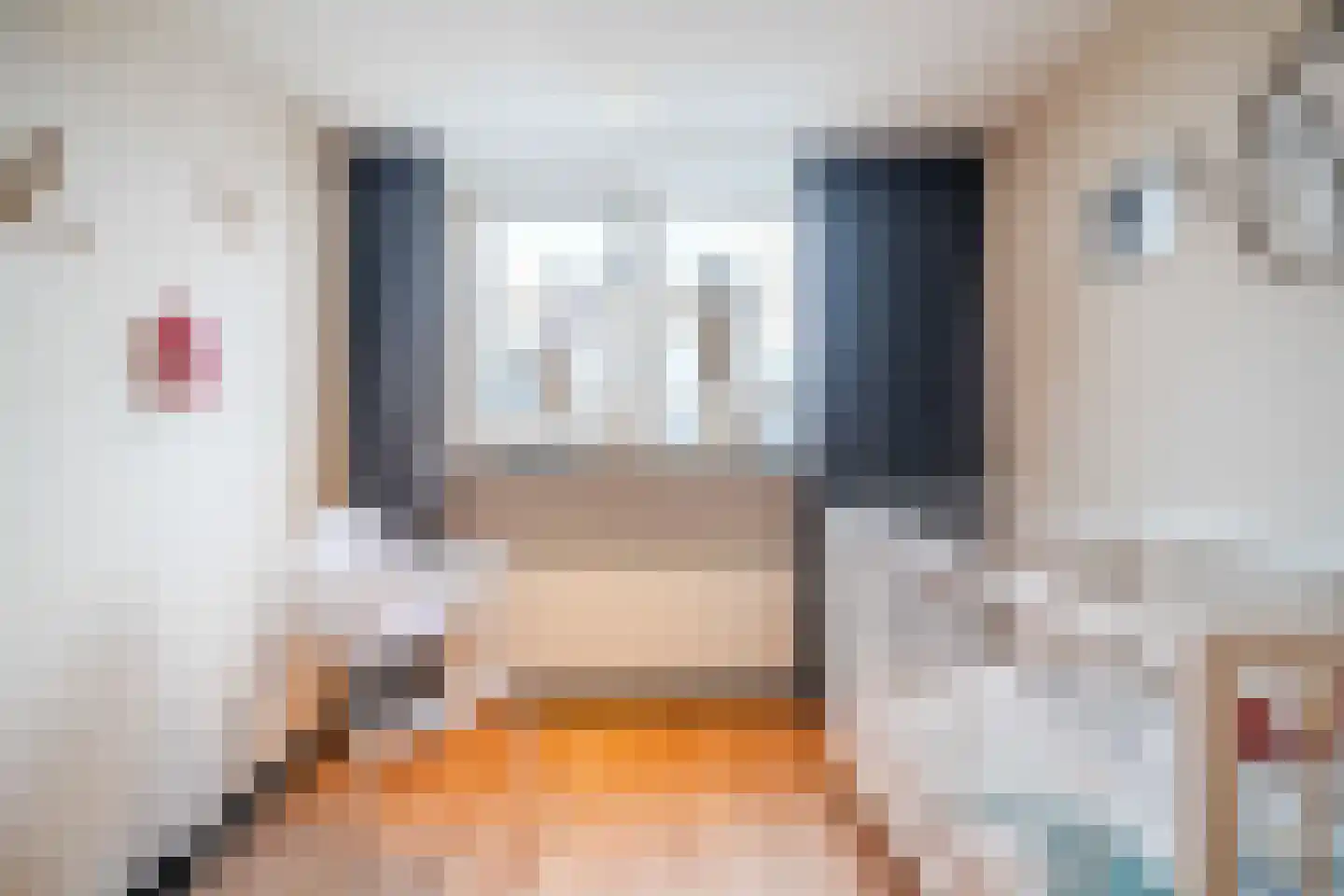 Ooievaarstraat 25 Alkmaar thumbnail 18