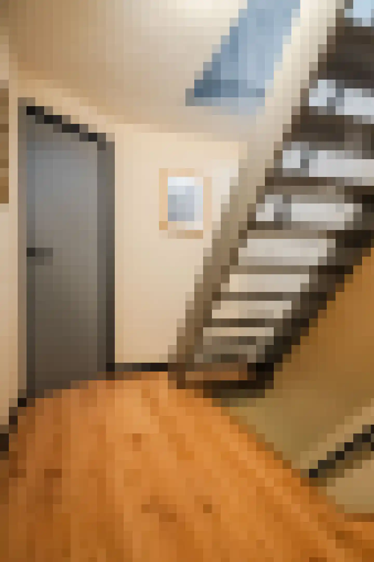 Ooievaarstraat 25 Alkmaar thumbnail 24