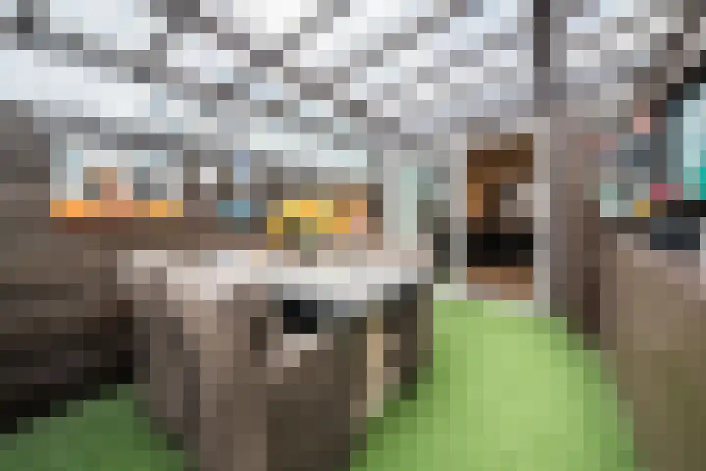 Ooievaarstraat 25 Alkmaar thumbnail 29