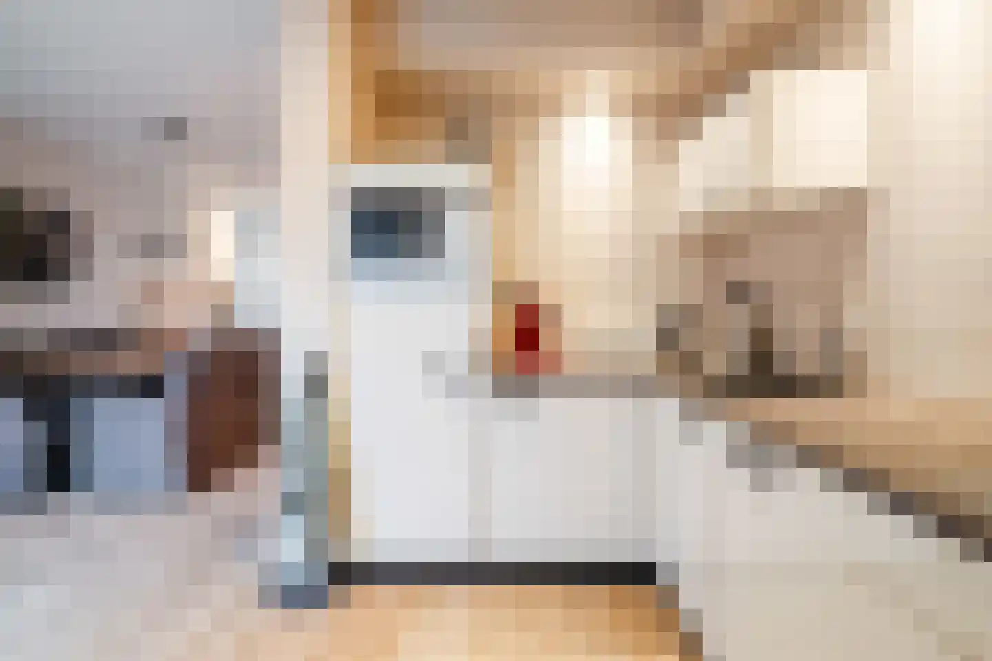 Ooievaarstraat 25 Alkmaar thumbnail 6
