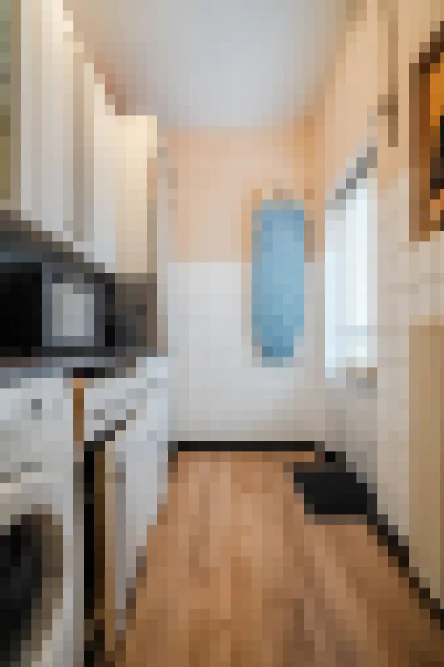 Ooievaarstraat 25 Alkmaar thumbnail 8