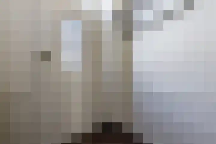 Ooievaarstraat 25 Zaandam thumbnail 22