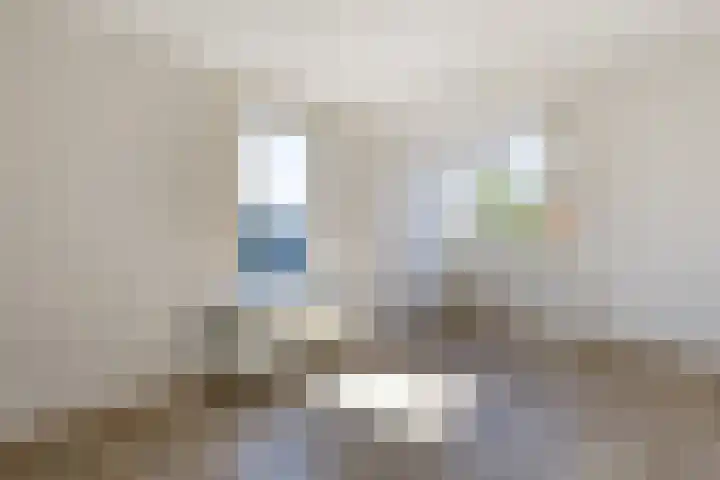 Ooievaarstraat 25 Zaandam thumbnail 27