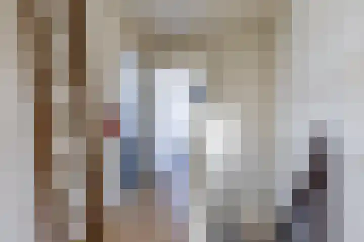 Ooievaarstraat 25 Zaandam thumbnail 31