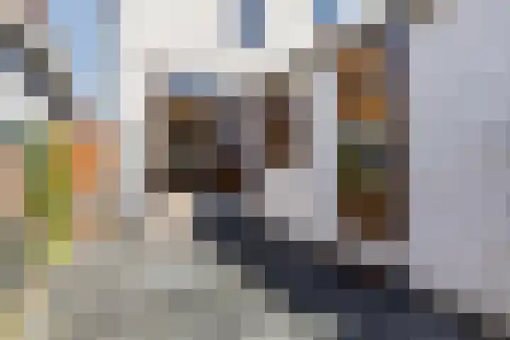 Ooievaarstraat 25 Zaandam thumbnail 36