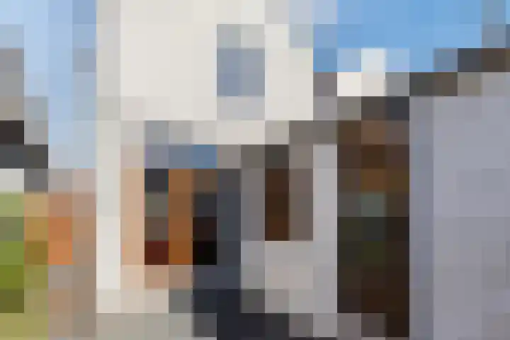 Ooievaarstraat 25 Zaandam thumbnail 38