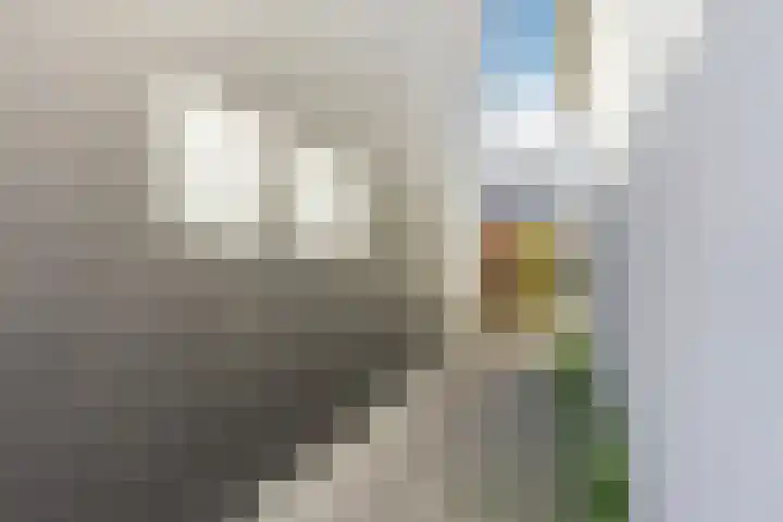 Ooievaarstraat 25 Zaandam thumbnail 41