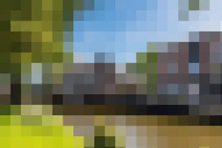 Ooievaarstraat 25 Zaandam thumbnail 44