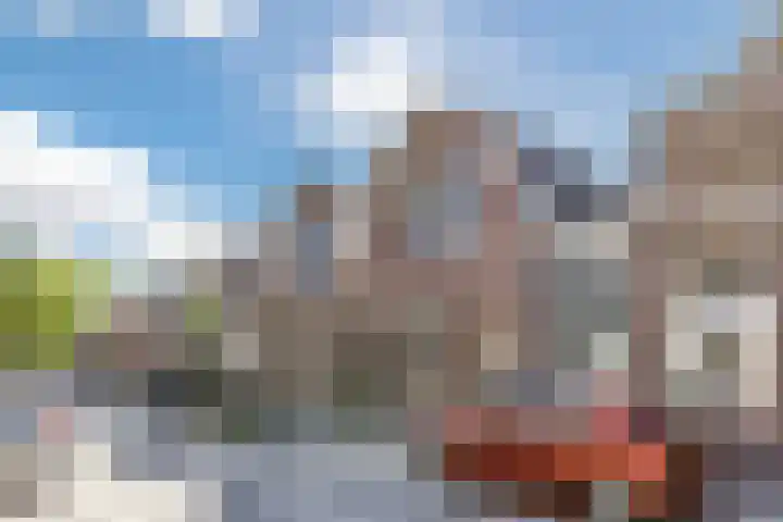 Ooievaarstraat 25 Zaandam thumbnail 6